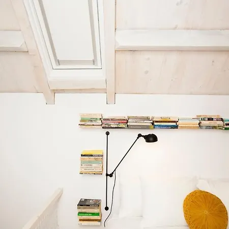 Get A Cactus And Books *