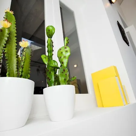 Get A Cactus And Books *