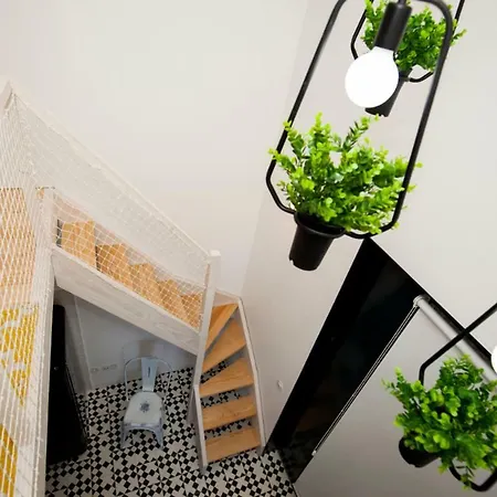 Appartement Get A Cactus And Books *
