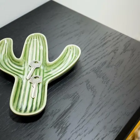Get A Cactus And Books Appartement Porto