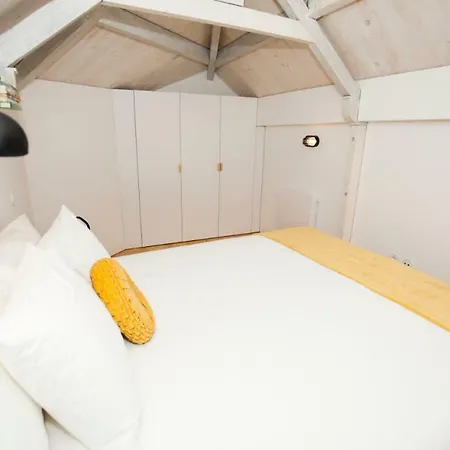 Get A Cactus And Books Porto