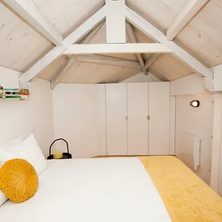 Get A Cactus And Books Apartament Porto