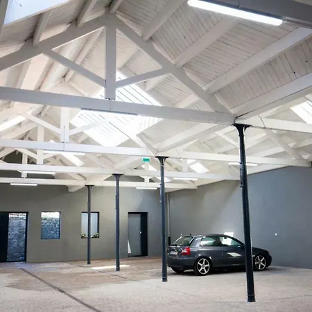 Get A Cactus And Books Apartament Porto