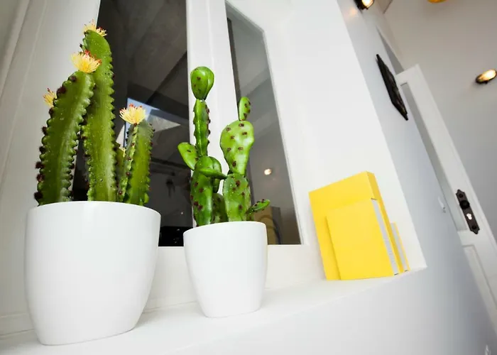 Get A Cactus And Books