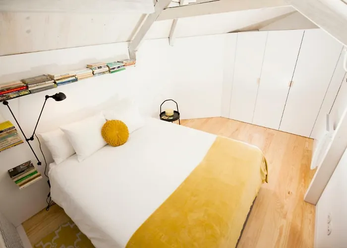 Get A Cactus And Books Appartement Oporto