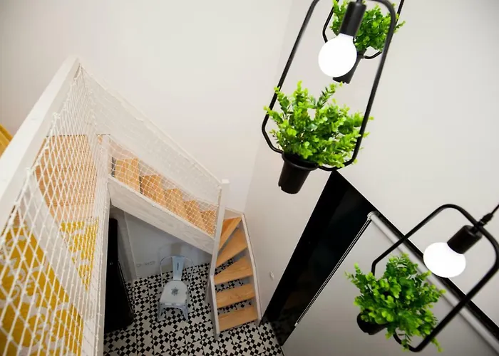 Appartement Get A Cactus And Books *