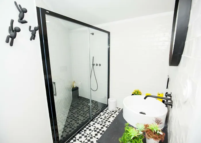 Get A Cactus And Books Appartement