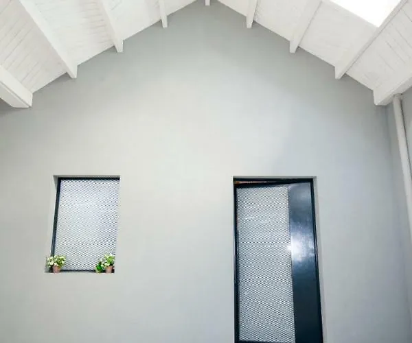 Appartement Get A Cactus And Books *