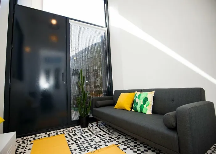 Appartement Get A Cactus And Books *