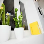 Get A Cactus And Books *