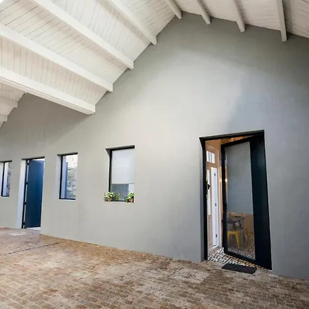 Get A Cactus And Books