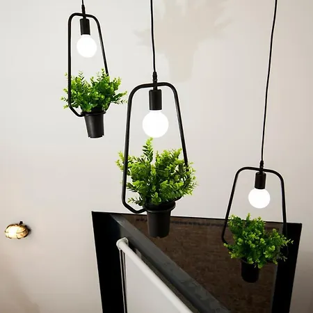 Get A Cactus And Books Apartment Porto