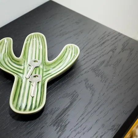 Apartament Get A Cactus And Books Porto