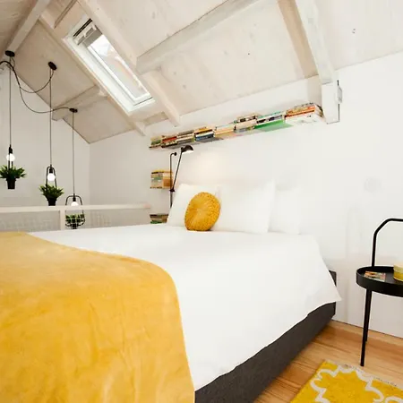 Get A Cactus And Books Apartment