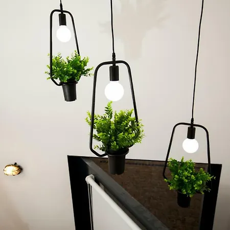 Get A Cactus And Books * Porto