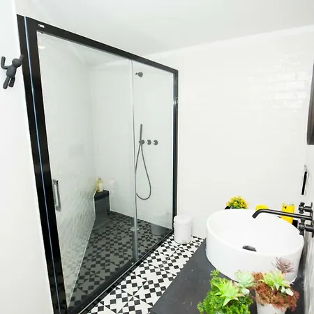 Get A Cactus And Books Apartment