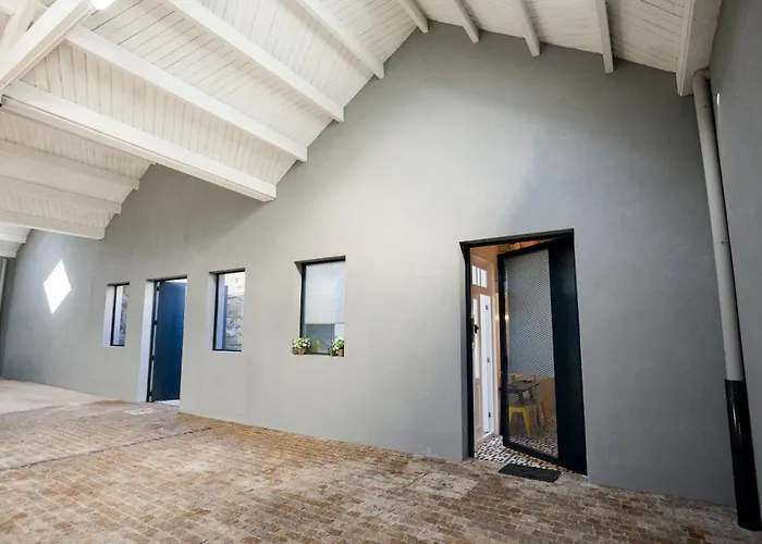 Get A Cactus And Books