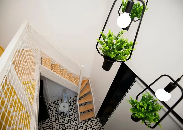 Get A Cactus And Books