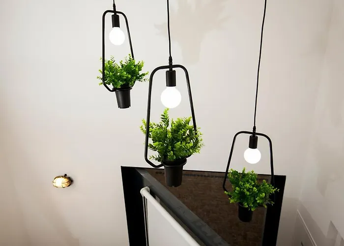 Get A Cactus And Books Apartment Porto