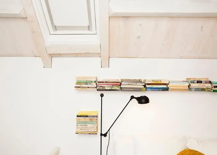 Get A Cactus And Books *