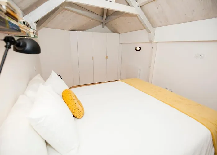 Get A Cactus And Books *