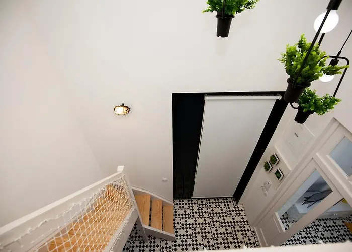 Get A Cactus And Books Apartment