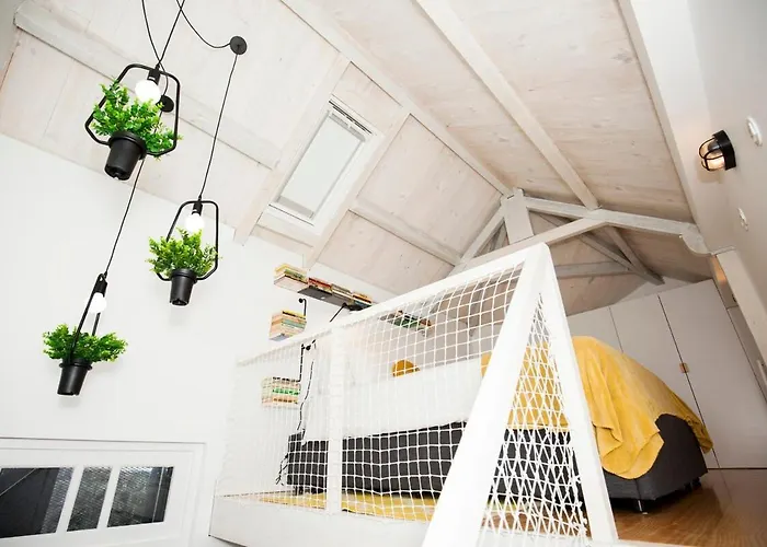 Get A Cactus And Books Porto