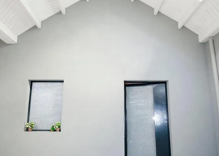 Apartment Get A Cactus And Books Porto