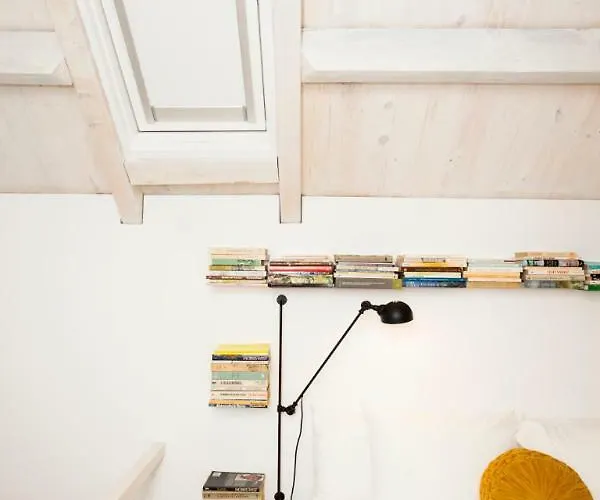 Get A Cactus And Books