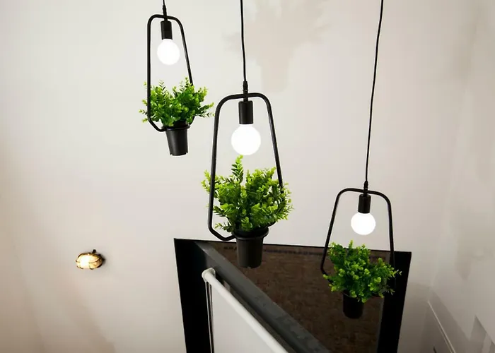 Get A Cactus And Books * Porto