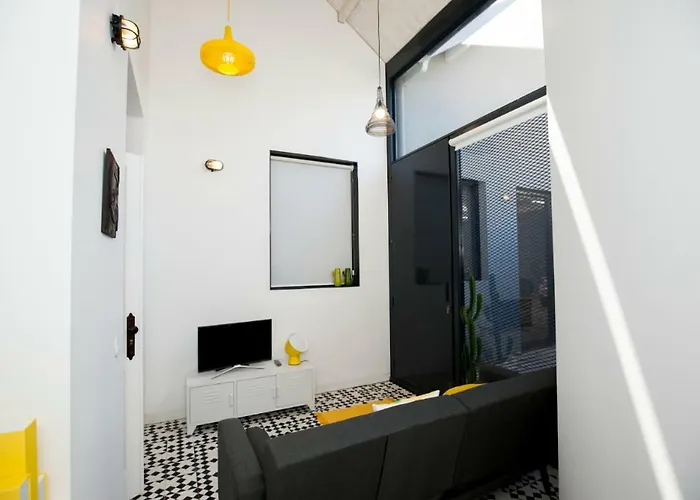 Get A Cactus And Books * Oporto