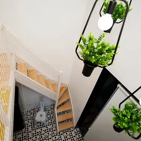 Get A Cactus And Books