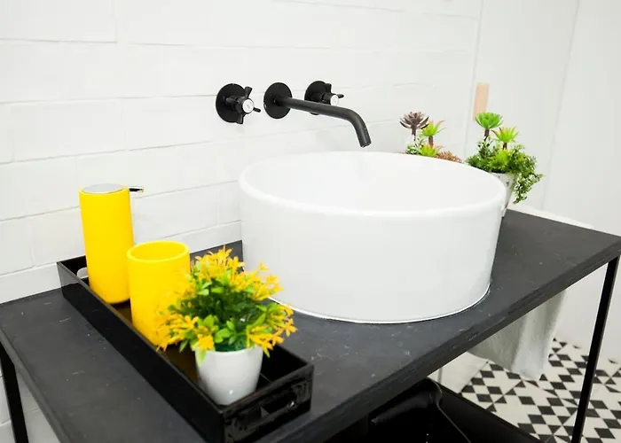 Get A Cactus And Books Porto