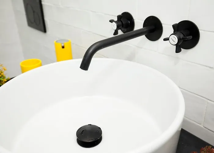 Get A Cactus And Books *