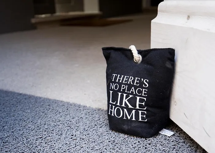 Get A Cactus And Books * Porto